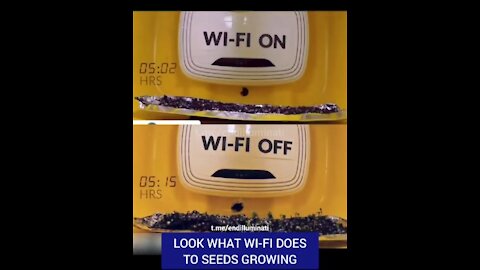 Wifi on vs wifi off