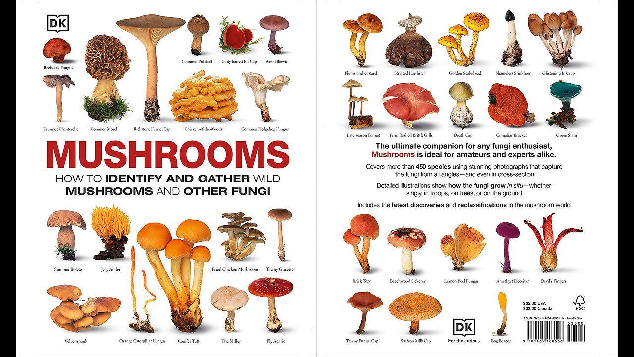 Mushrooms: How to Identify and Gather Wild Mushrooms and Other Fungi