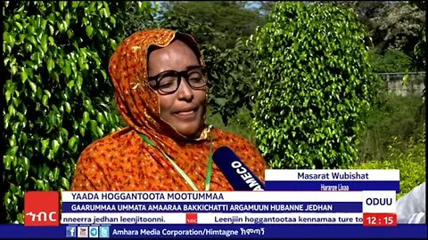 AMECO HIBIR: Gaarummaa Ummata Amaaraa Bakkichatti Argamuun Hubanne Jedhan 12/02/2016