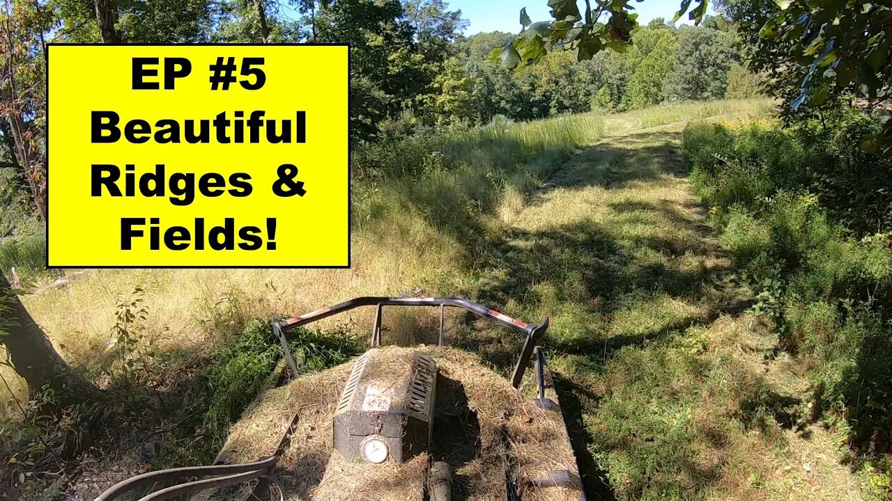 EP #5 - 38 Acre Southern Illinois Investment Property. Bush Hogging new trails & Food plots w/CTL