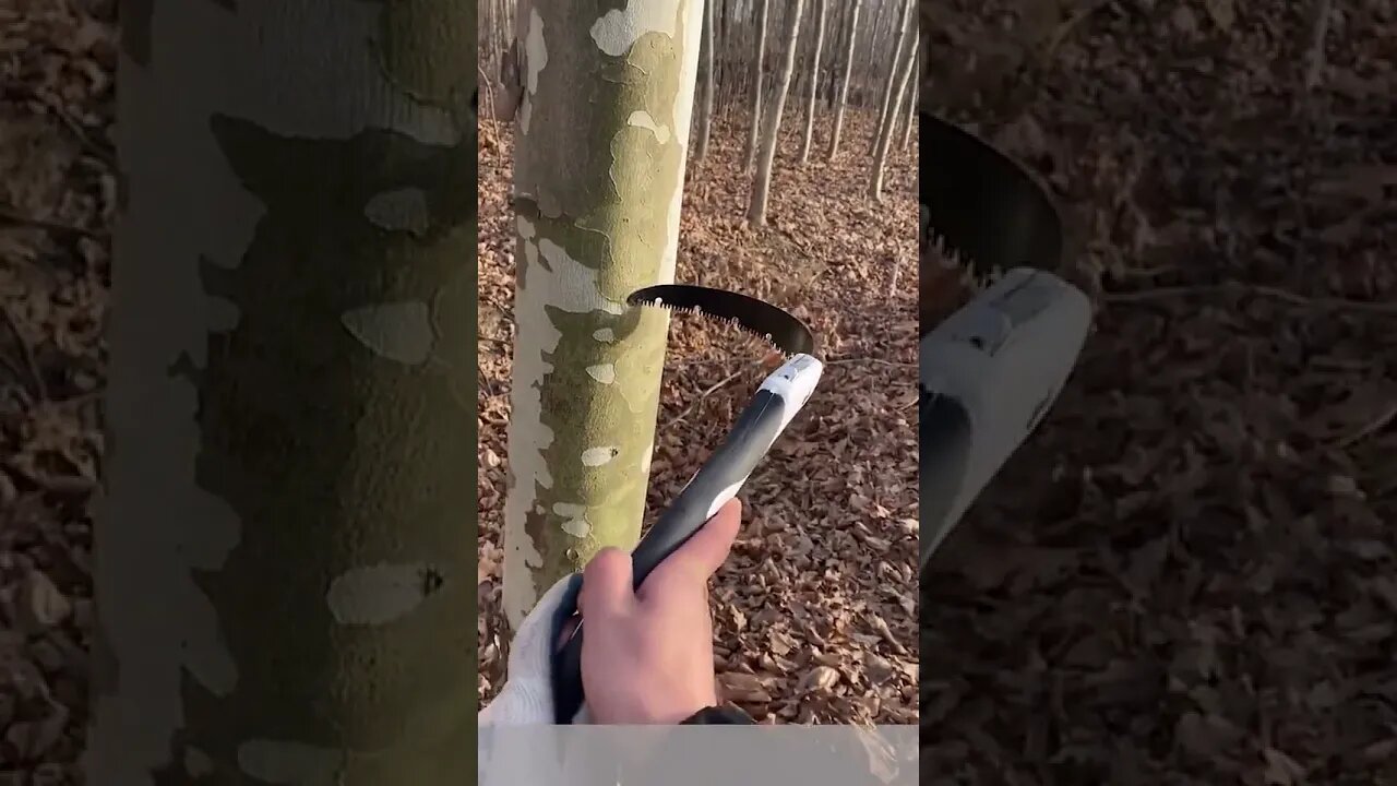 sipmle but useful