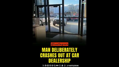 Dude literally crashes out at car dealership. What do you think about this?