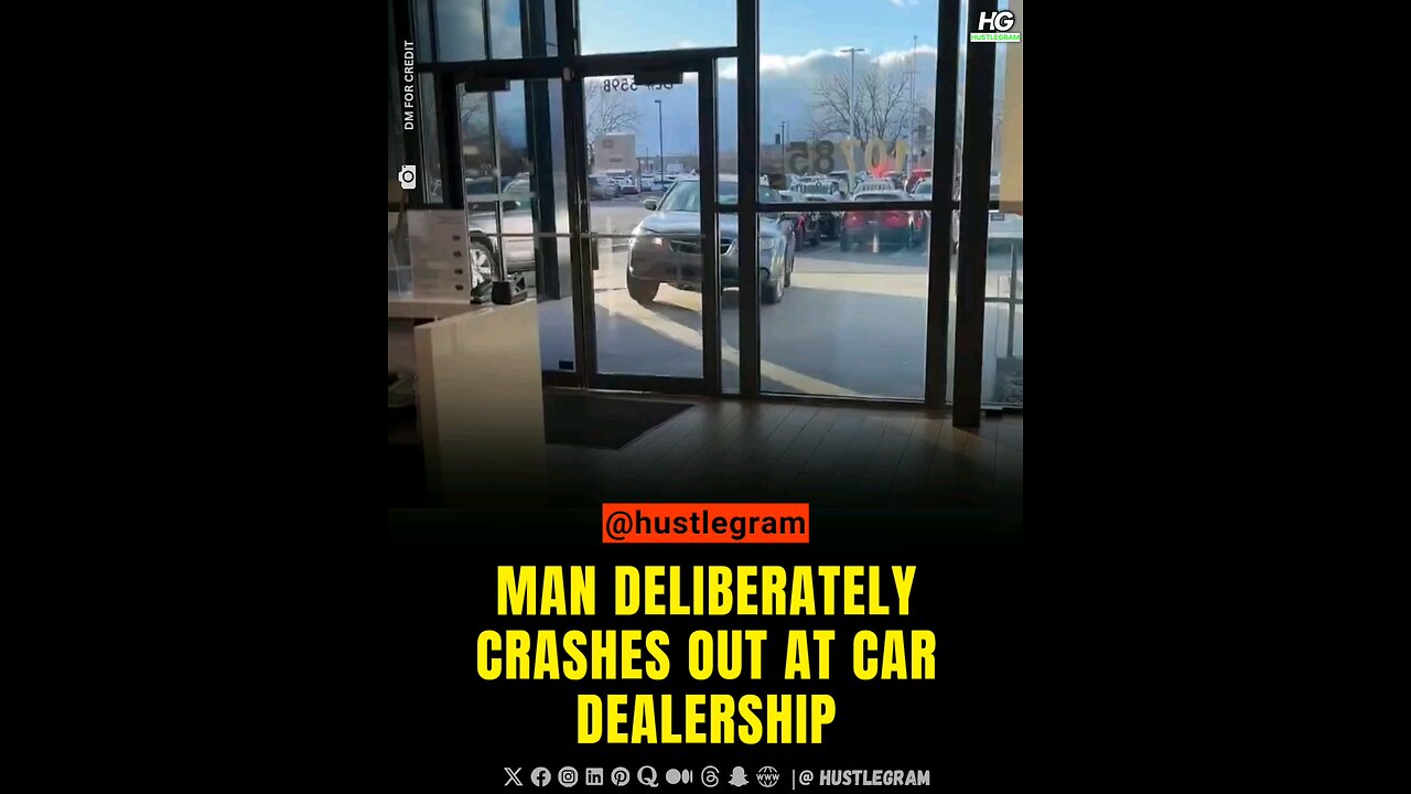 Dude literally crashes out at car dealership. What do you think about this?