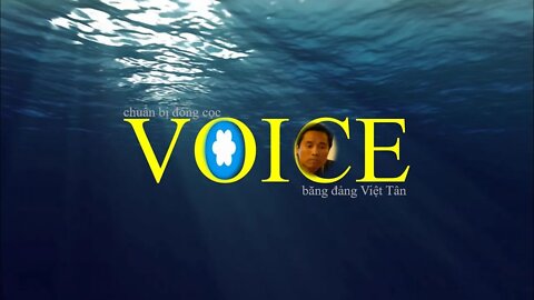 Chuẩn bị đóng cọc VOICE, VÒI bạch tuộc của băng đảng Việt Tân