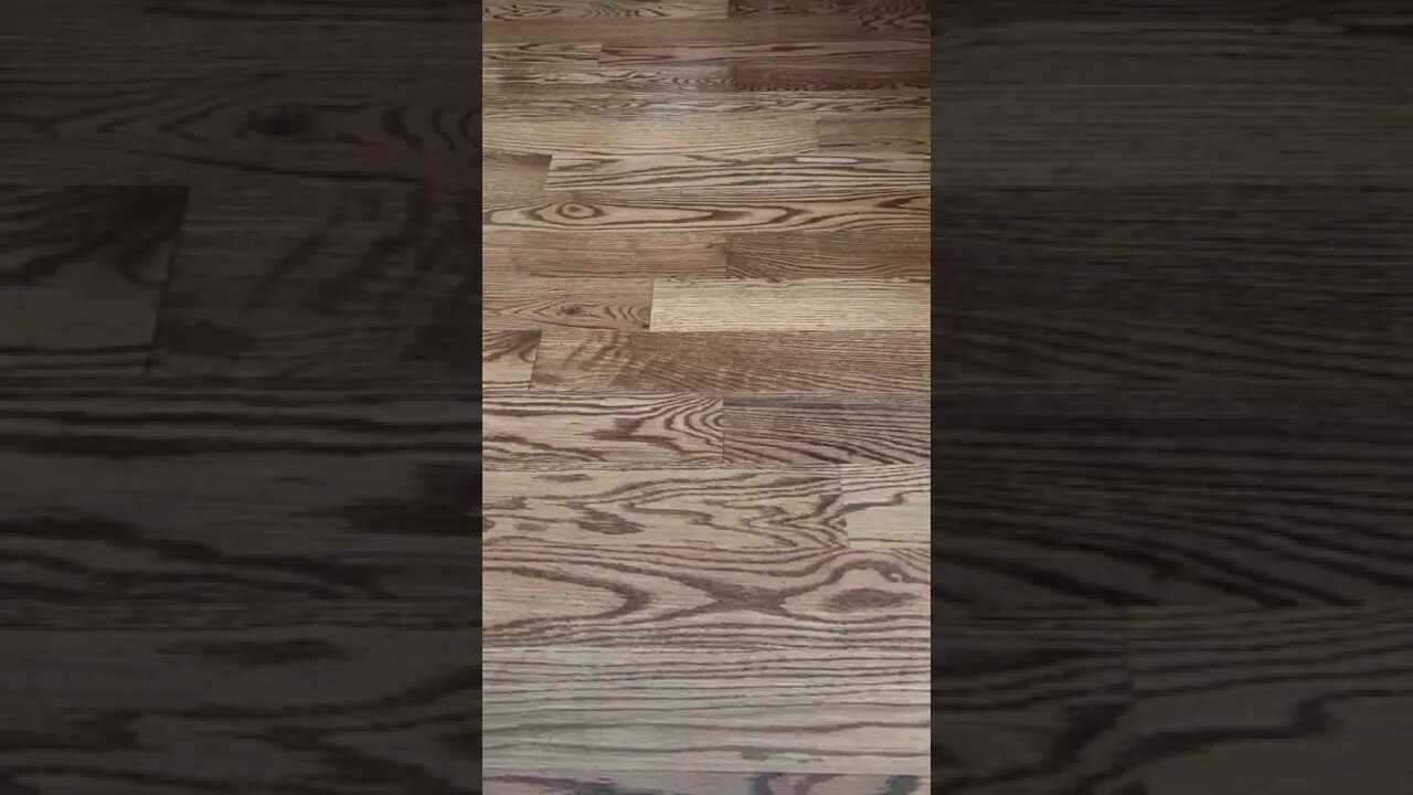 Breaking News! More Lies, More Lies