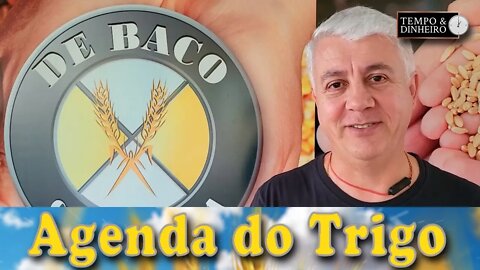 As declarações de Putin, repercutem em altas no mercado...