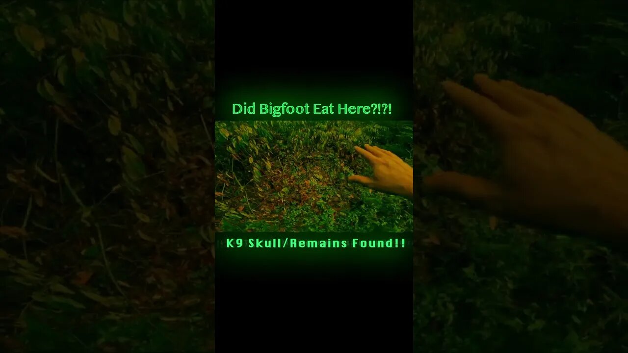 WTH!! Did Bigfoot Eat Here?? #shortsvideo #paranormal #bigfoot #demonslayer #explore #halloween