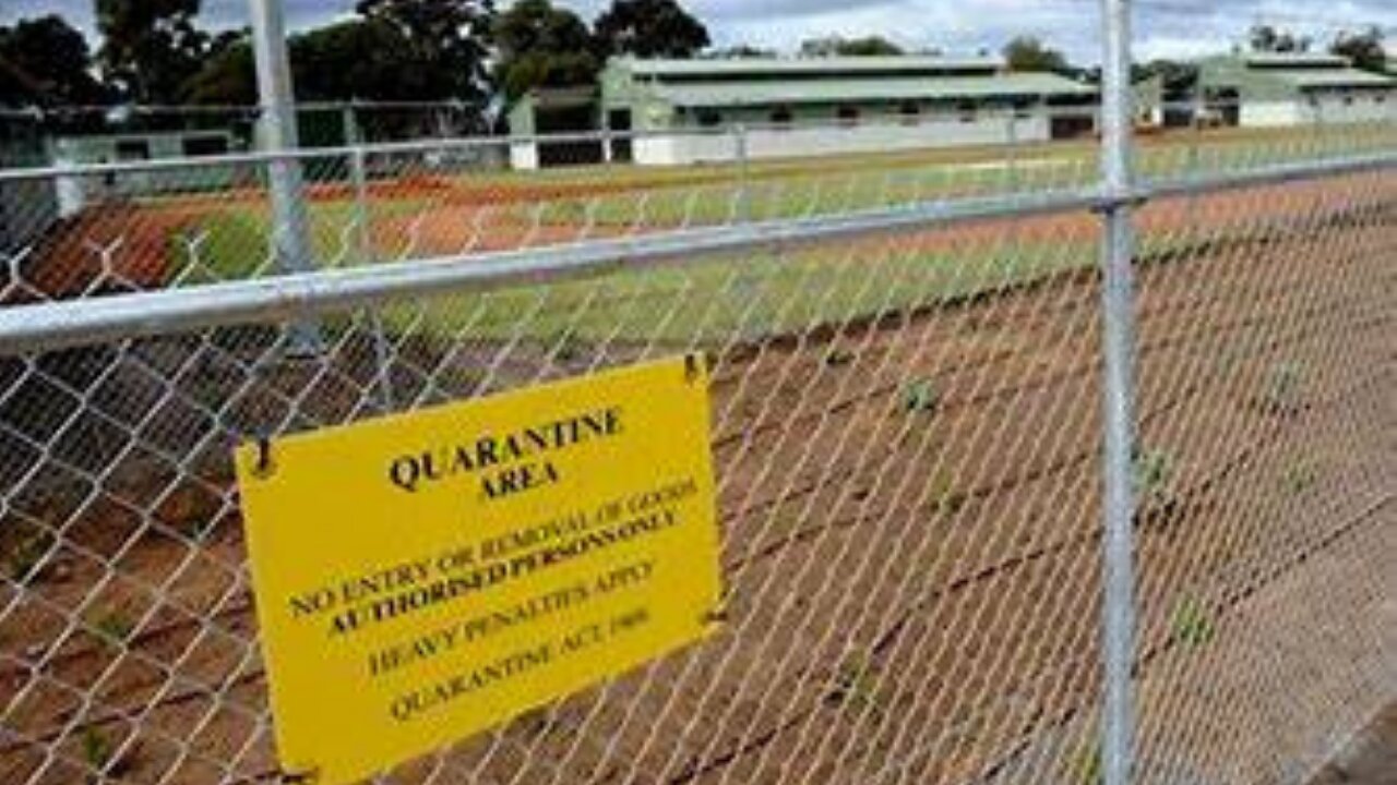Australia Has Gone INSANE!