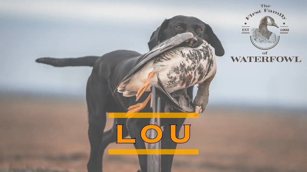 The First Family of Waterfowl: Season 2 Episode 4 - Lou