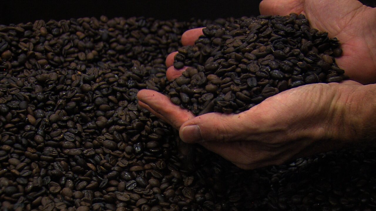 A Sustainable Coffee Company