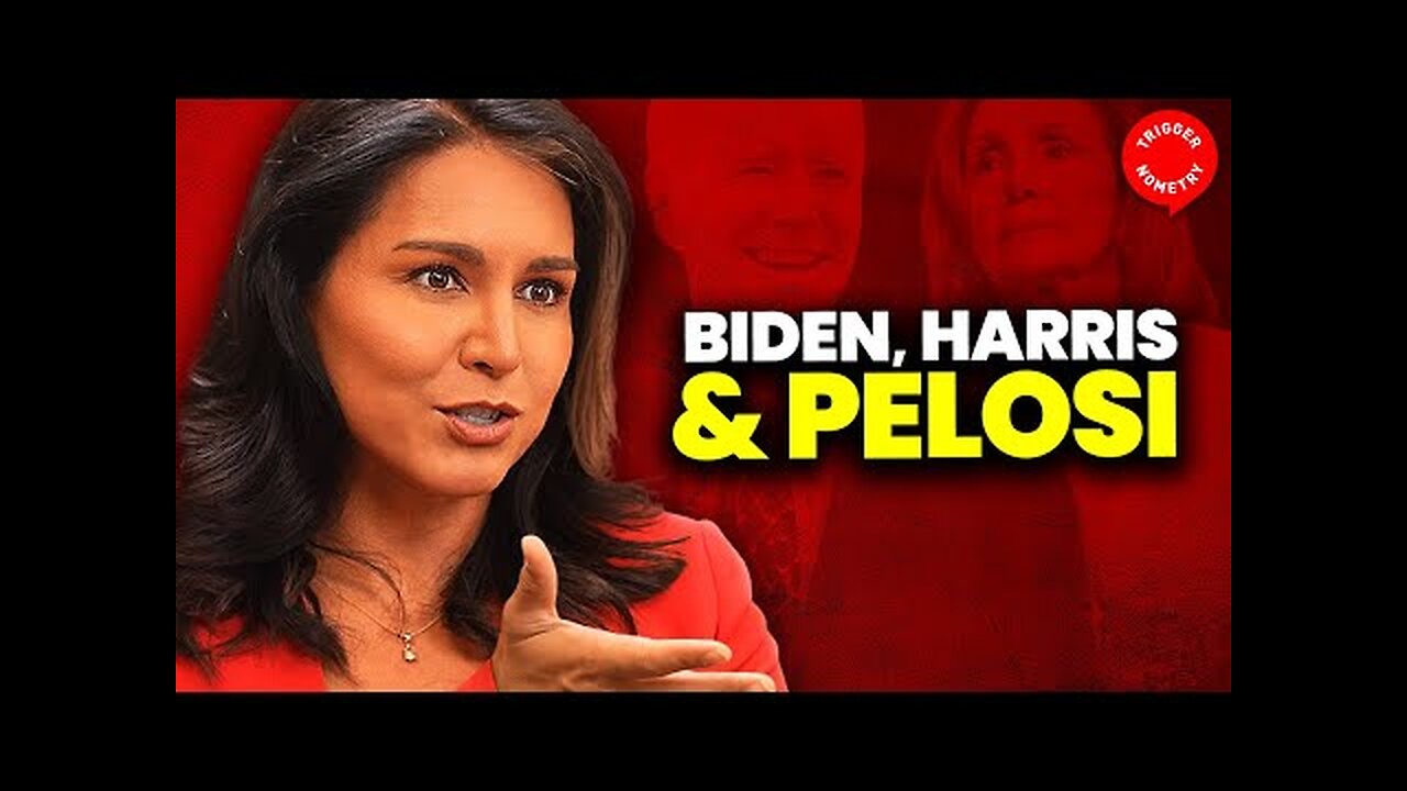 ‘Democrat Elites Just Want Power’ - Tulsi Gabbard on Triggernometry