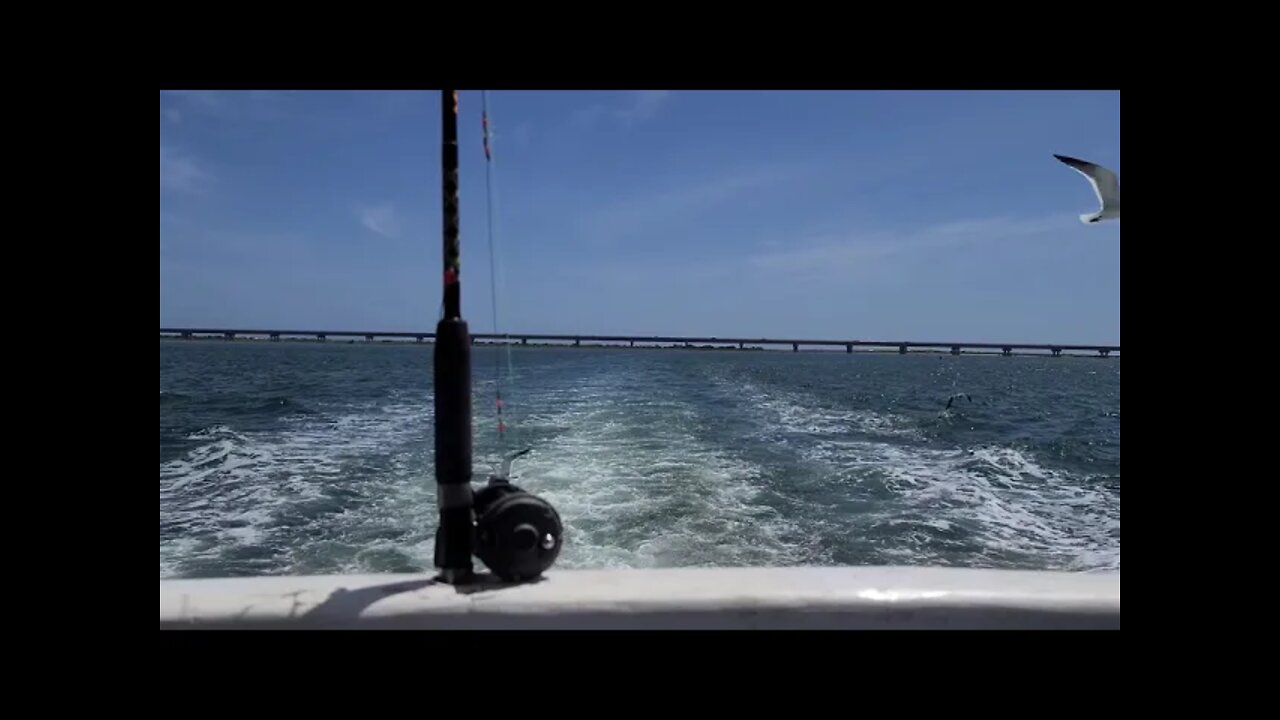Boat fishing nc