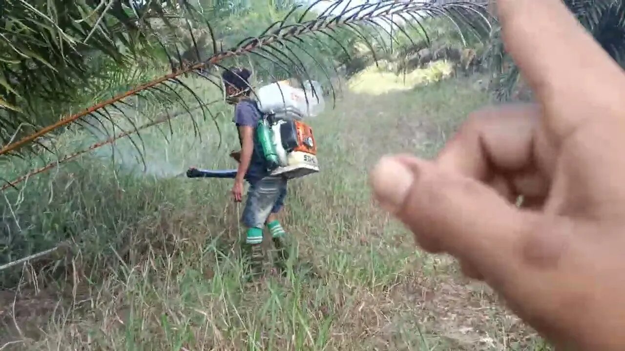 spray ladang/blok yang tidak semak