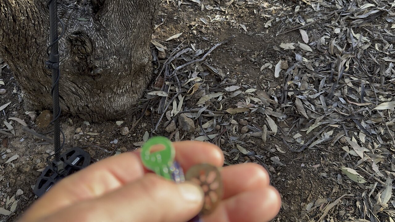 Wedderburn Metal Detecting Jamboree With Chef