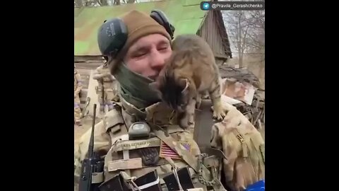 🇺🇦GraphicWar18+🔥Ukraine Warrior Cats Not Afraid of War - Ukraine Armed Forces(ZSU) #Shorts