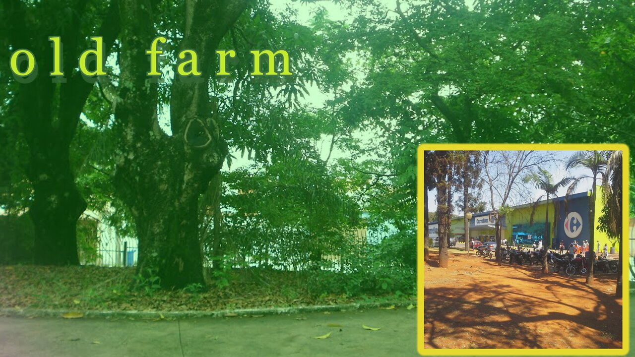 oldest farm in my city, from the time of slavery.