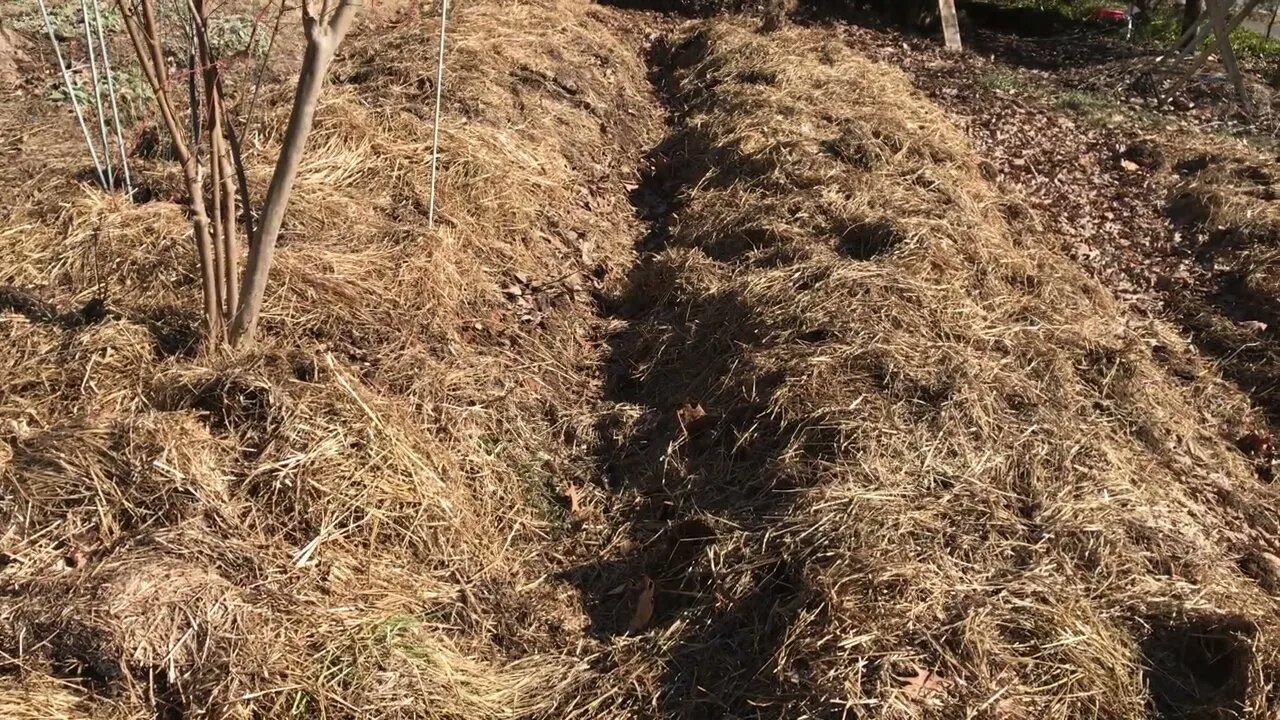 Winter Grass Fed Refresh No-Till Gardening Beds