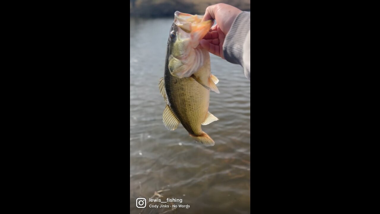 Pond Hopping for Crappie Rewards Us