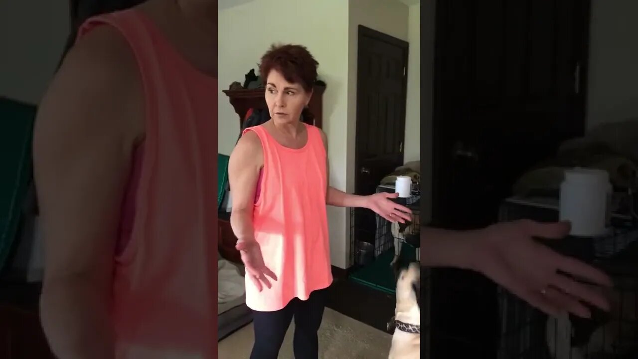 Taking raw meat out of dogs mouth