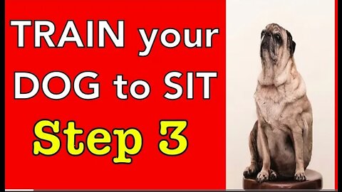 How to train your dog