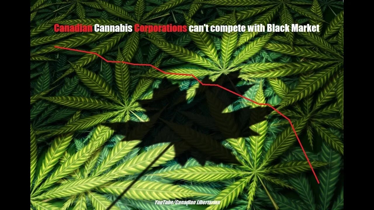 Canadian Cannabis Corporations can't compete with Black Market