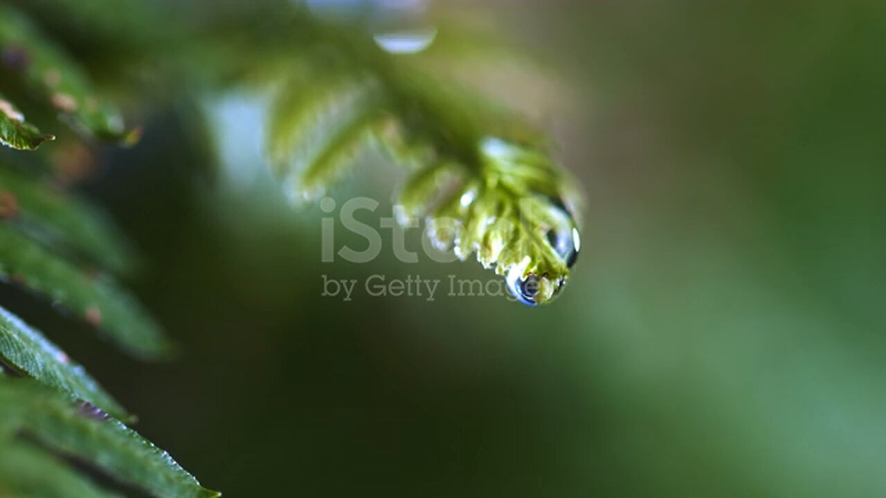 Water drop fall