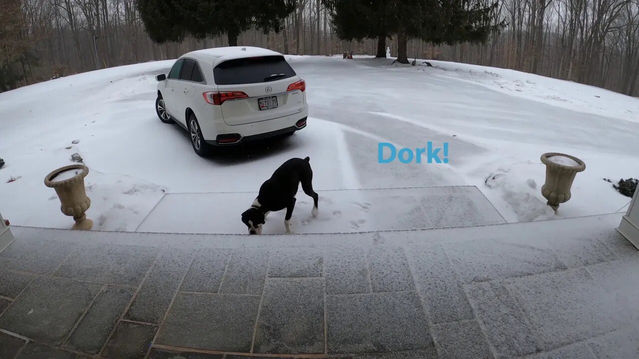 Plowing Sleet! 2 18 2021