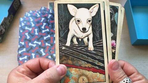 Unboxing Wise Dog Tarot by MJ Cullinane