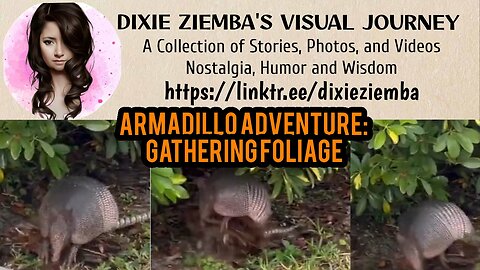 Armadillo Adventure: Gathering Foliage