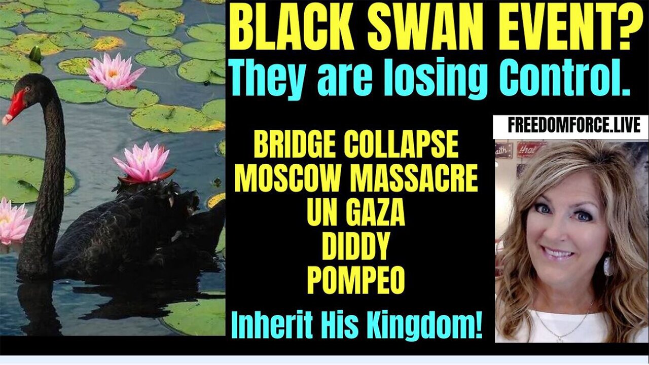 Melissa Redpill Situation Update 03-27-24: "Black Swan - Bridge Collapse, Diddy, Moscow, Assange"