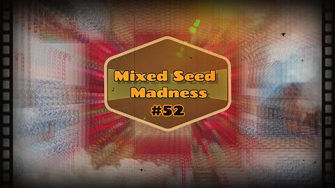 Mixed Seed Madness #52: Winter Star Wonder!