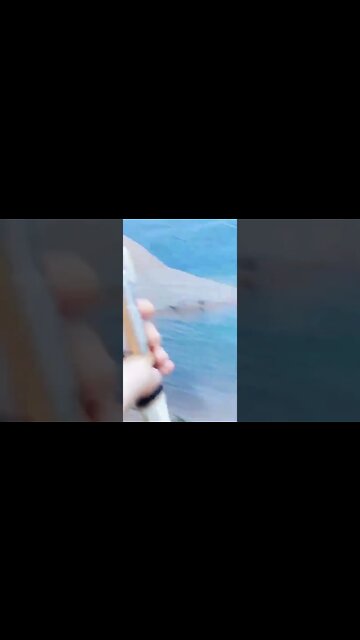 #shorts #2022 funny,prank,funjokes,dad jokes,funny memes,funny video,fun,laughing,funny animal,knock