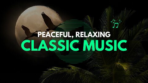 Enjoy the Classics - Enjoy the Best of Classic Music with beauty of nature