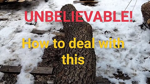 Money from a crooked cherry log YouTube Rant why we are here