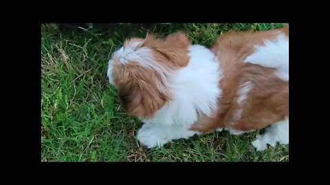 & Then There Were 2 🥺(2)