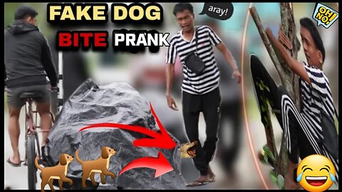 FAKE DOG BITE "PUBLIC PRANK 🐕🤣🤣 #fakedogbite #funnnyvideo