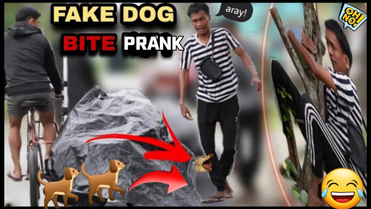 FAKE DOG BITE "PUBLIC PRANK 🐕🤣🤣 #fakedogbite #funnnyvideo