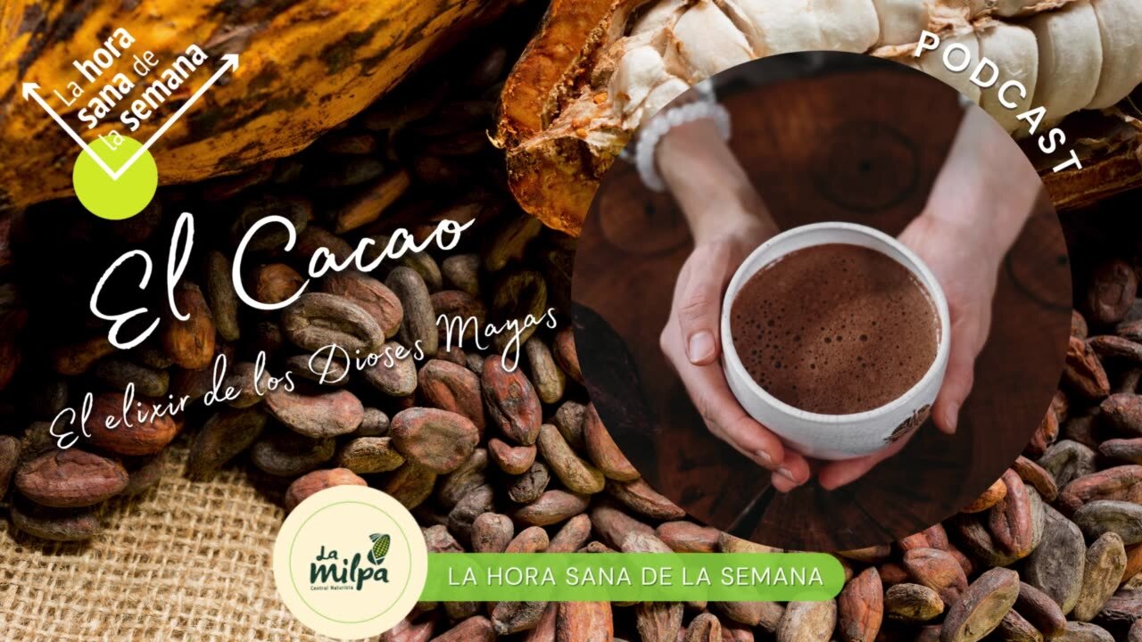 El Cacao