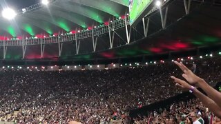 Flu 2x1 Cruzeiro - Explosão da torcida no gol do Manoel