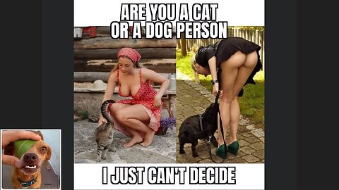 Memes That Will 99.874% Make You Laugh. (e99)
