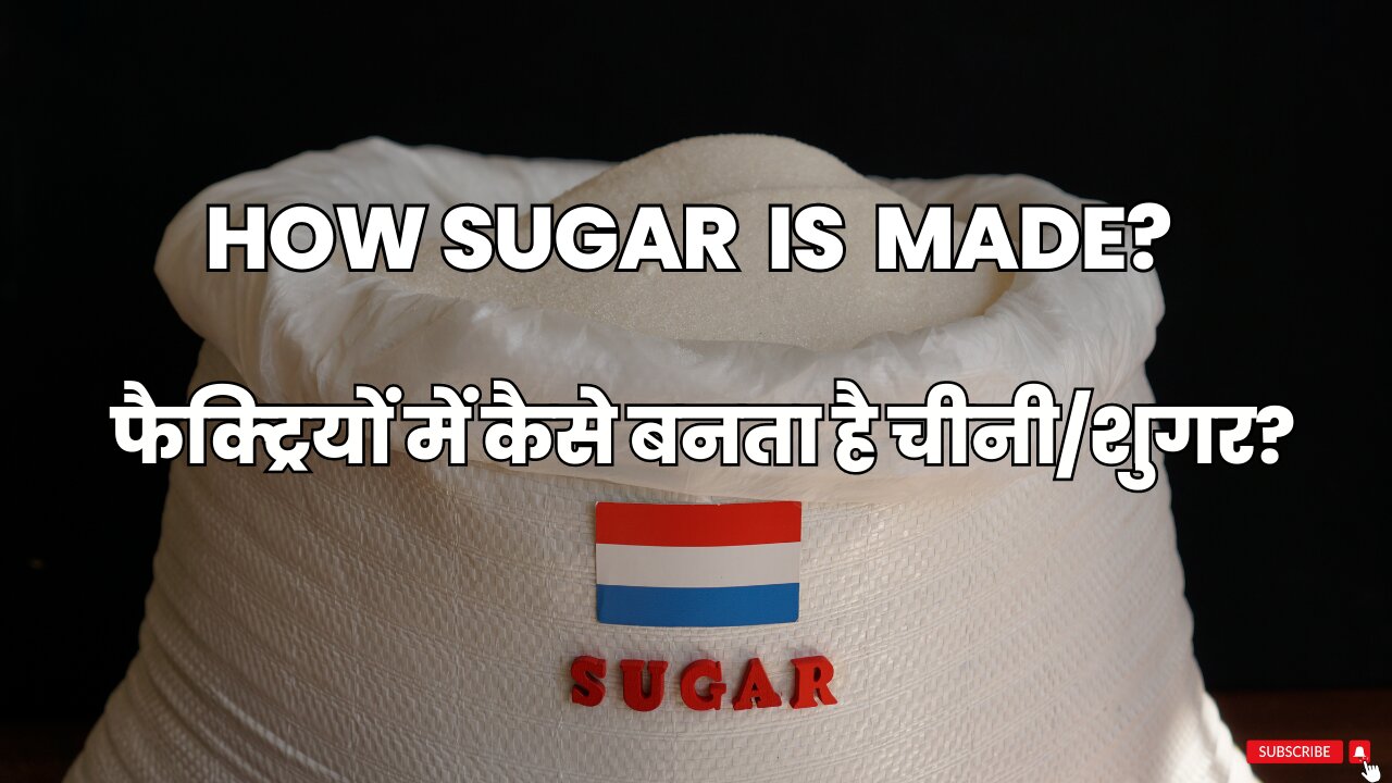 How Sugar is Made|चीनी कैसे बनाई जाती है? #socialkaro