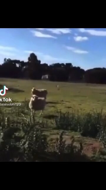 Right now in anywhere in Toronto…