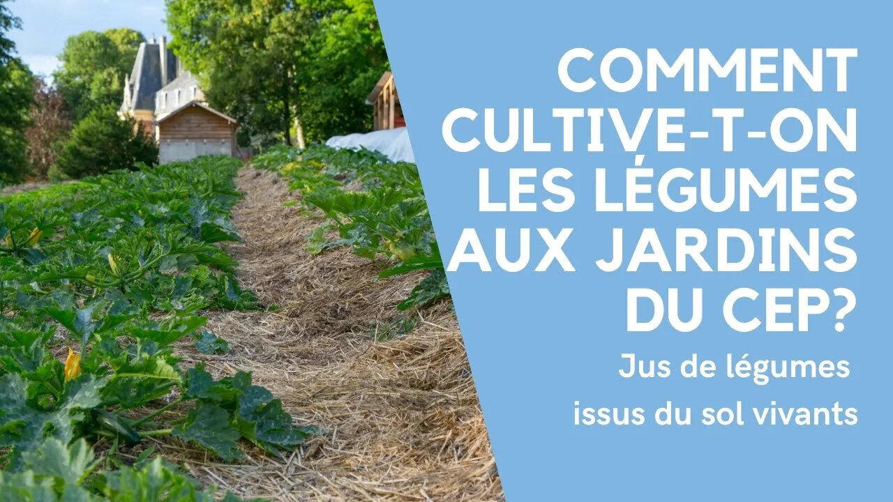 Comment cultive-t-on les légumes aux Jardins du CEP ?