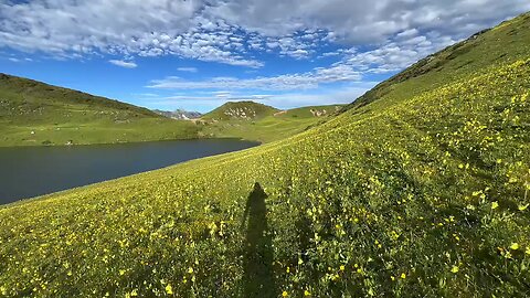 green field 🍀