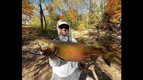BIG COHO SALMON IN A TINY CREEK!