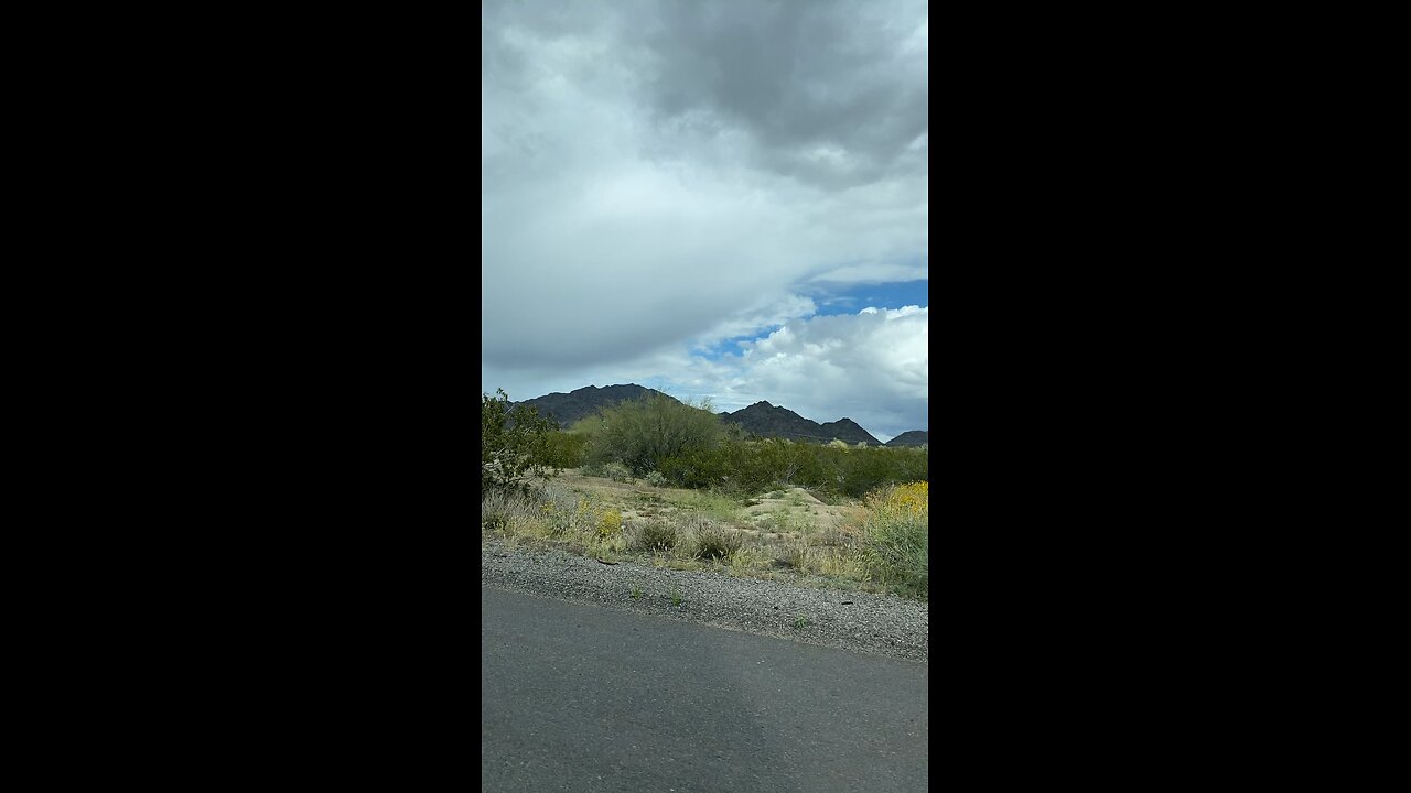 Arizona Desert