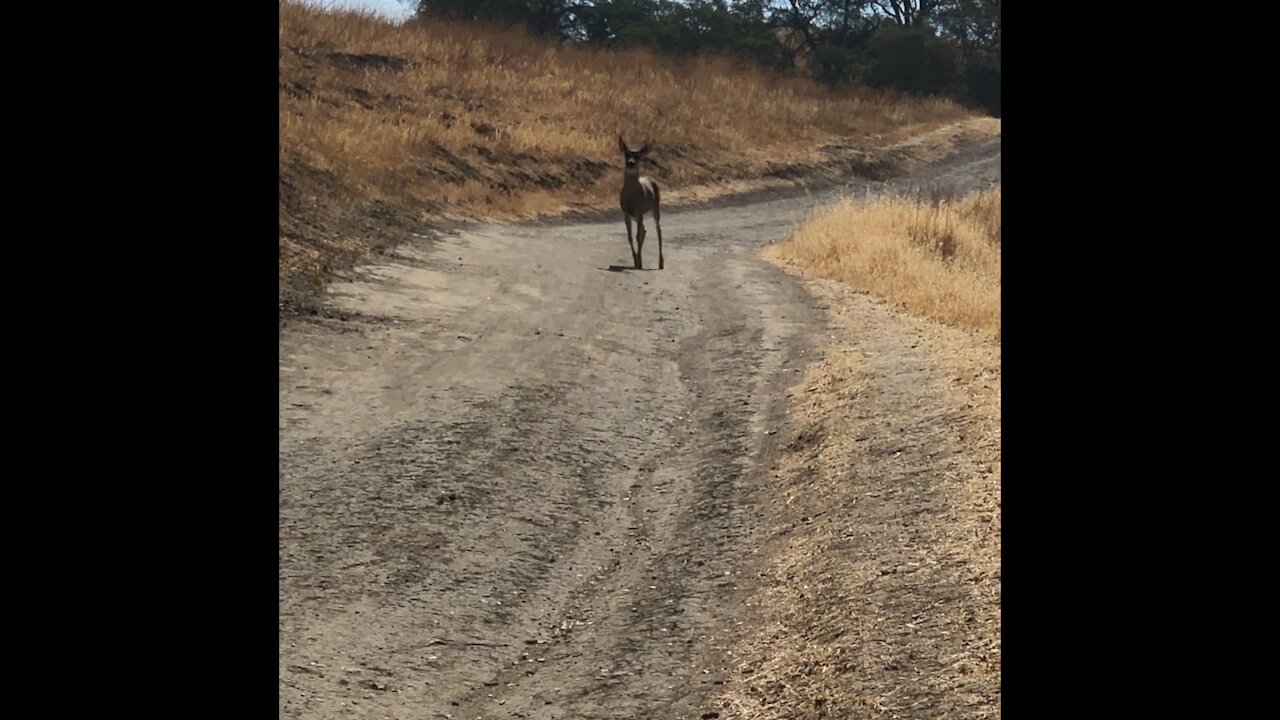 Hiking Hanna Refuge