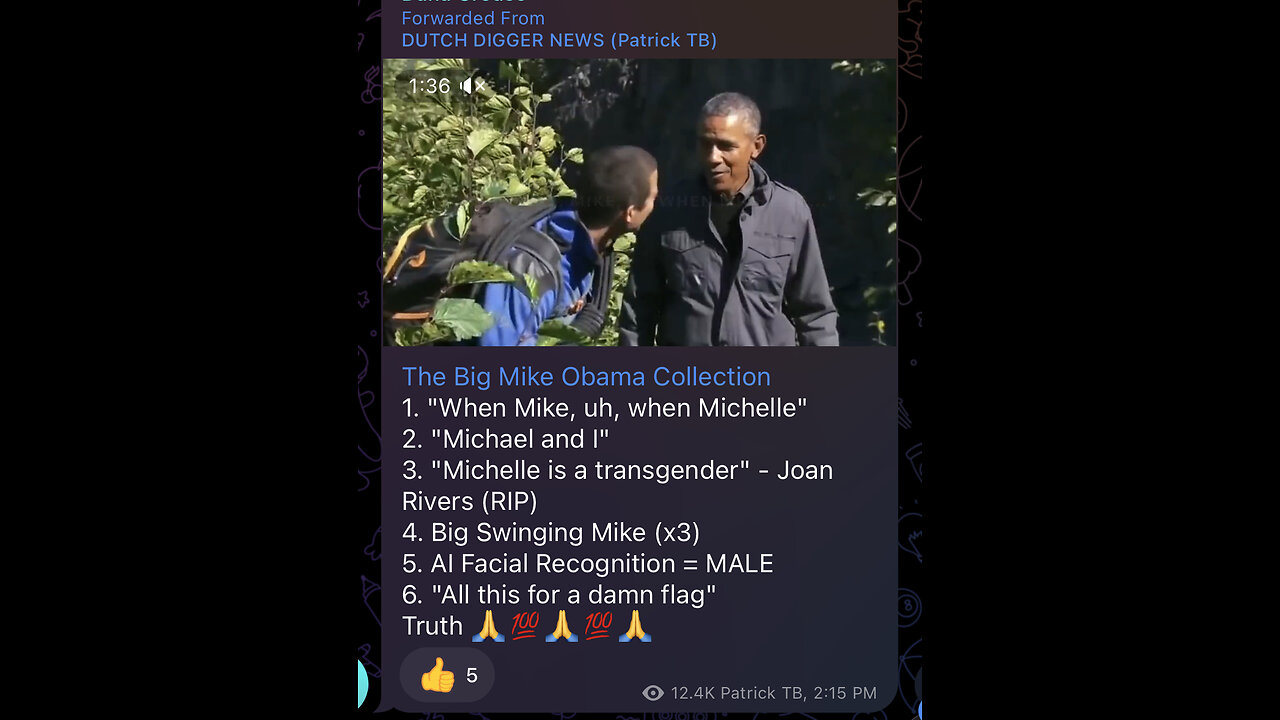 The Big Mike Obama Collection