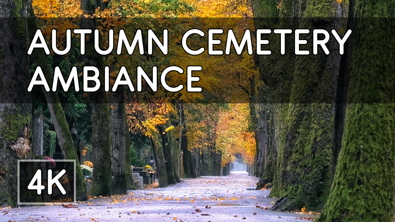 Ambiance: Autumn Cemetery - 1 Hour of Relaxing Rain Sounds - 4K UHD