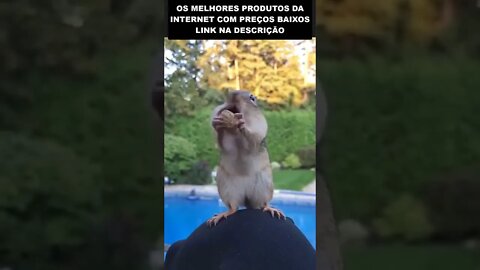 Ela me disse que era inexperiente 🤣🤣🤣